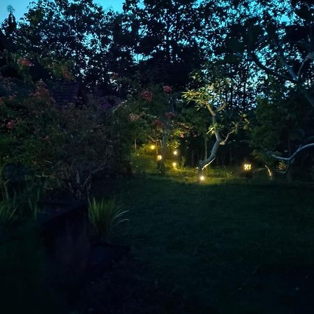 Bougainvillea Bungalow Batumadeg Exterior photo